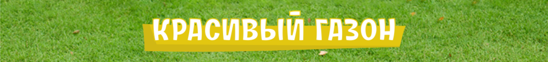 ����� � �����������