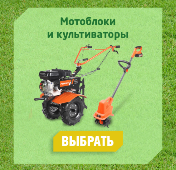 ����� � �����������