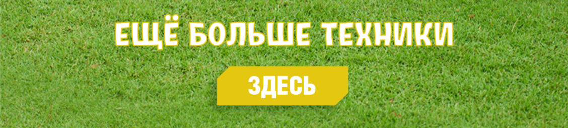 ����� � �����������